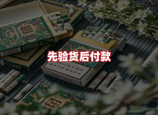 专业团队